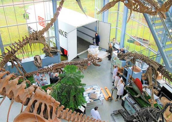 Kostra dinosaura cestovala ze Švýcarska do Nizozemska