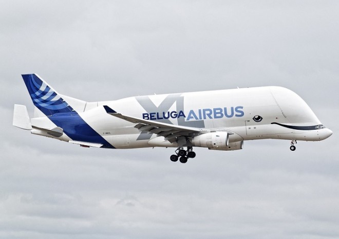 ​Airbus ruší specializovanou nákladní divizi, která létá s letadly Beluga