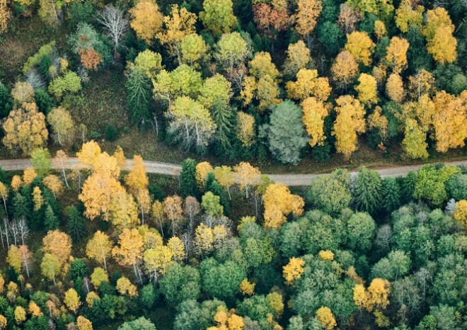 Společnost Scania přichází s iniciativou „Den klimatu“