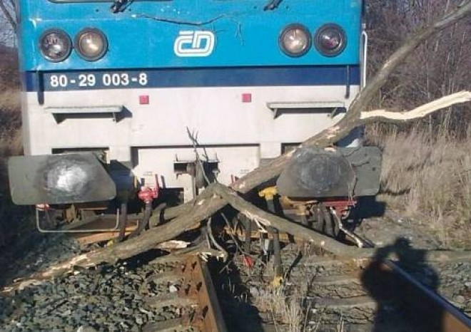 České dráhy neuspěly ve sporu o náhradu škody za strom na trati